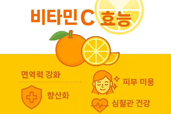 비타민C 효능·효과·용량·복용법·부작용